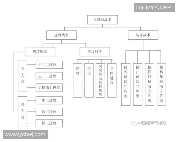 成都排球队意识对比深度解析与战术演变探讨